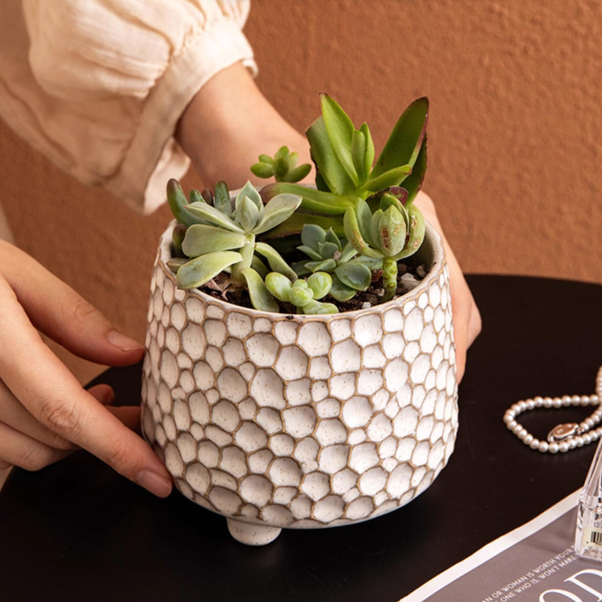 Alikexin ceramic planter used as a stylish kitchen utensil crock on the counter.