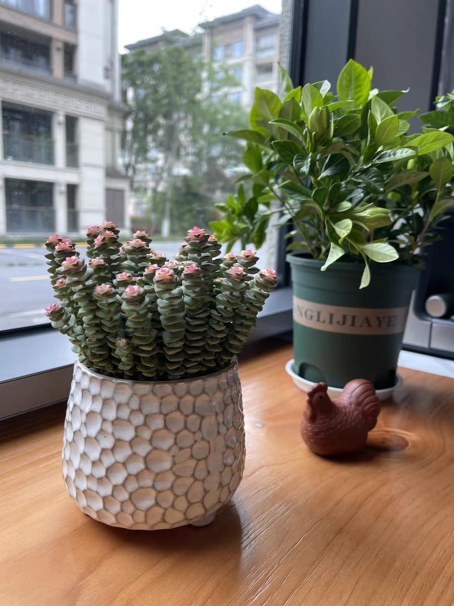 White finish Alikexin 4-inch planter fits minimalist decor and shelves.