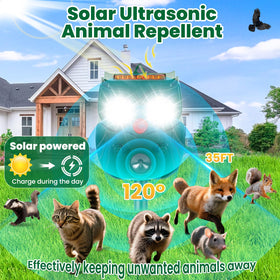 Alikguu solar panel demonstrates eco-friendly power for outdoor protection