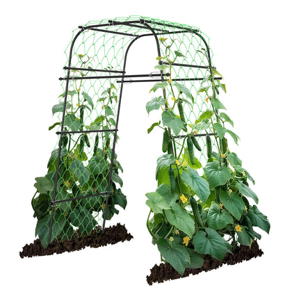 AlisisFores Garden Arch front view, rust-resistant steel frame for climbing plants