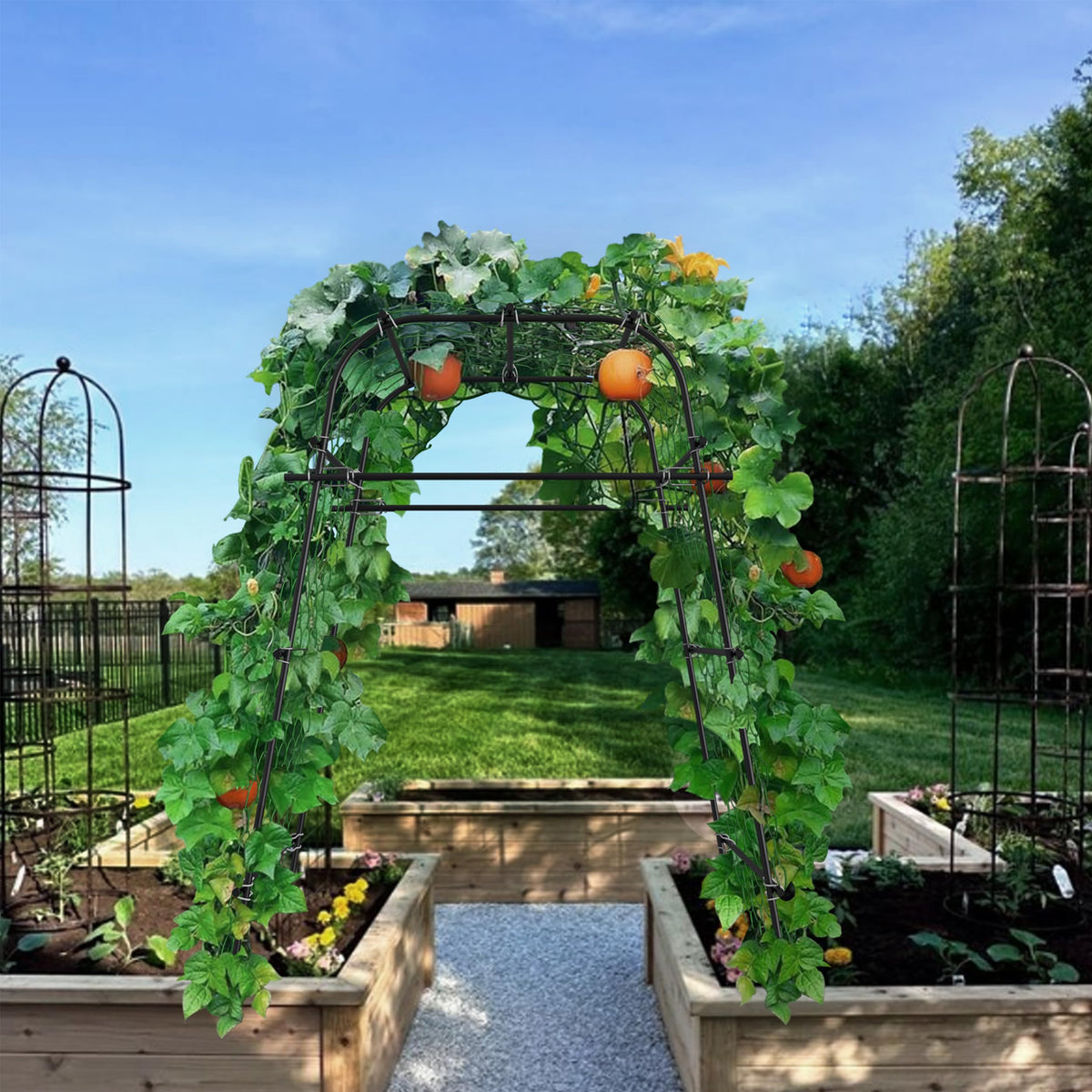 AlisisFores Garden Arch raised-bed setup improves airflow around vines