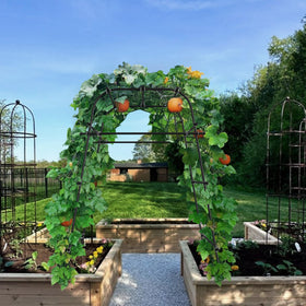 AlisisFores Garden Arch raised-bed setup improves airflow around vines