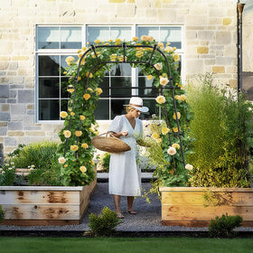 AlisisFores Garden Arch side view, compact profile for small-space gardens