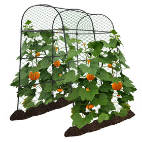 AlisisFores Garden Arch Trellis 70x90 forms a spacious arch for climbing plants.