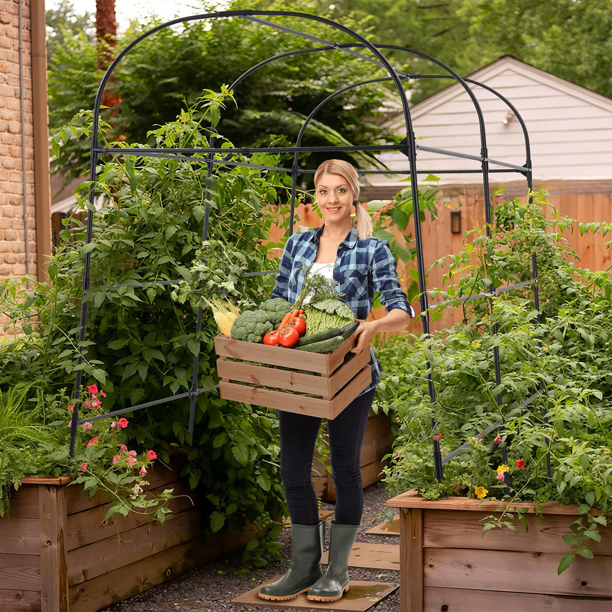 AlisisFores trellis with cucumber vines demonstrating vertical growth.