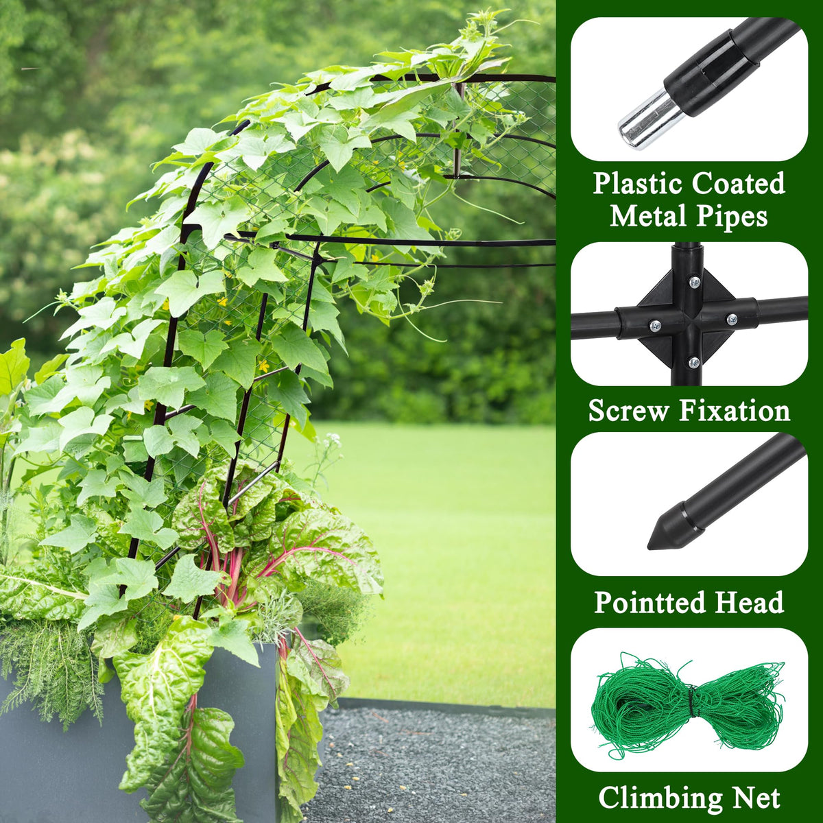 Plants supported by AlisisFores arch trellis creating tidy vertical space.