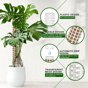 AlisisFores easy-install moss pole simplifies plant staking.