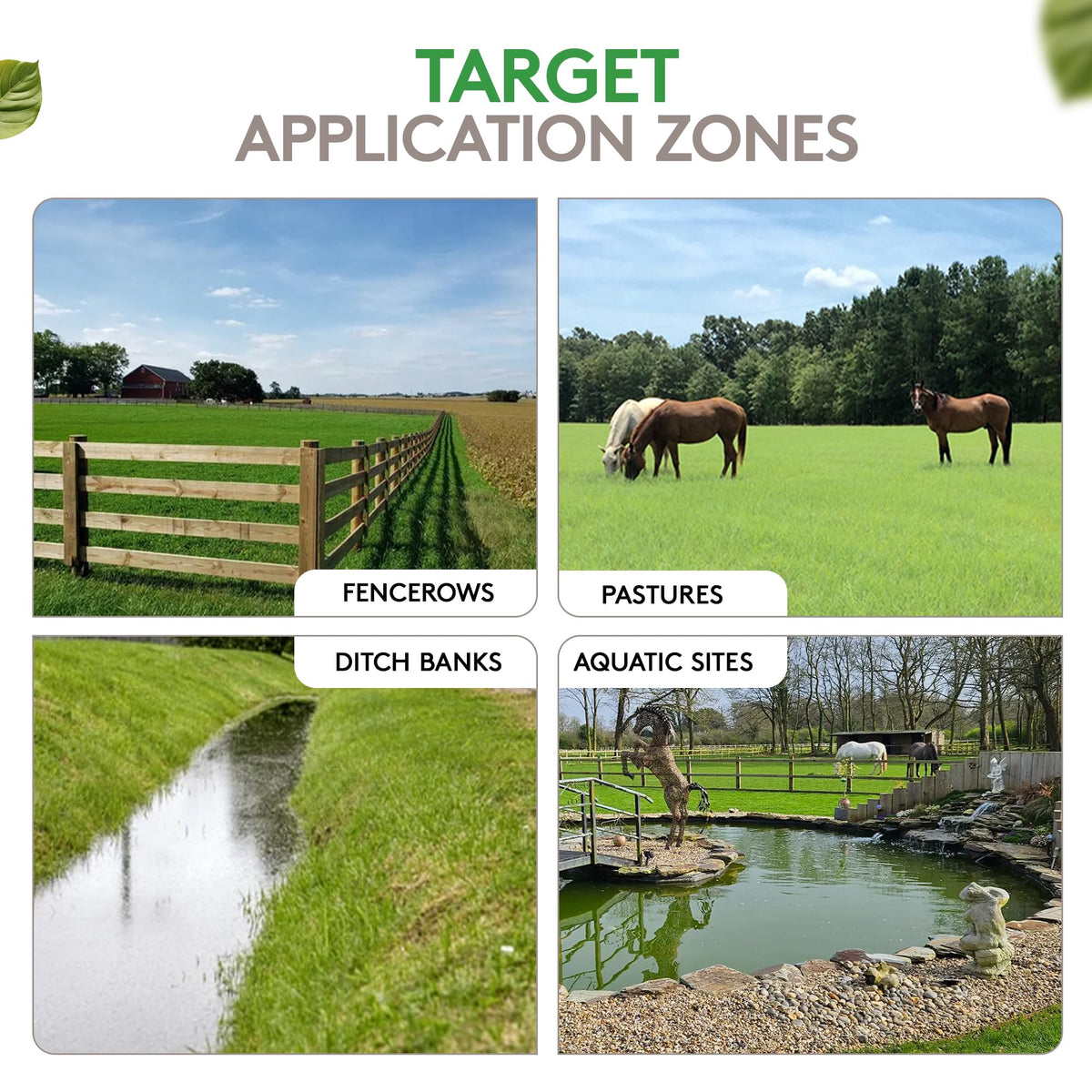 ALLIGARE Imazapyr 4 SL aquatic-vegetation-control by a pond