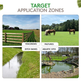 ALLIGARE Imazapyr 4 SL aquatic-vegetation-control by a pond