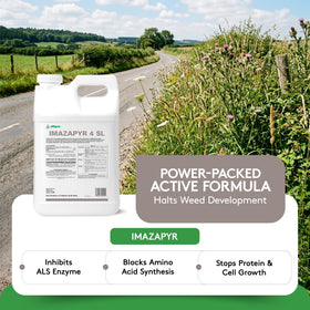 ALLIGARE Imazapyr 4 SL broad-spectrum weed-control in action