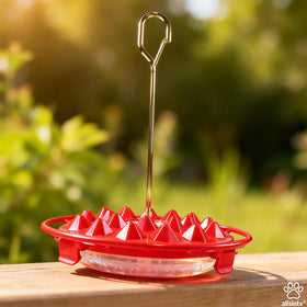 allslotx hummingbird feeder 25 ports for multiple hummingbirds feeding together