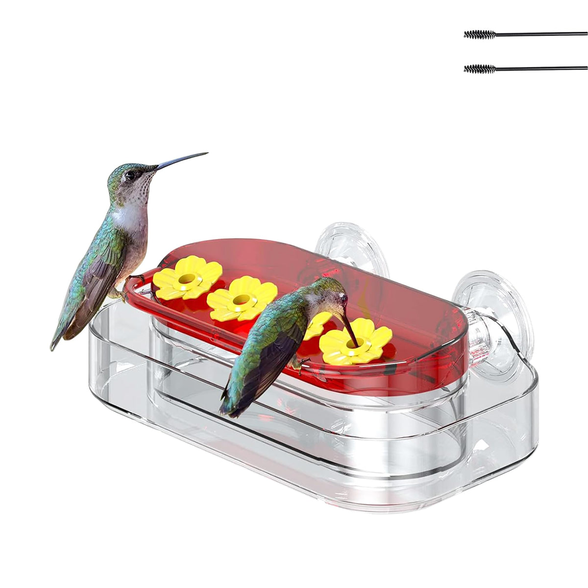 Allslotx window hummingbird feeder with nectar reservoir for close viewing