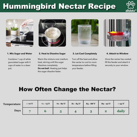 Window view setup showing hummingbirds enjoying the feeder