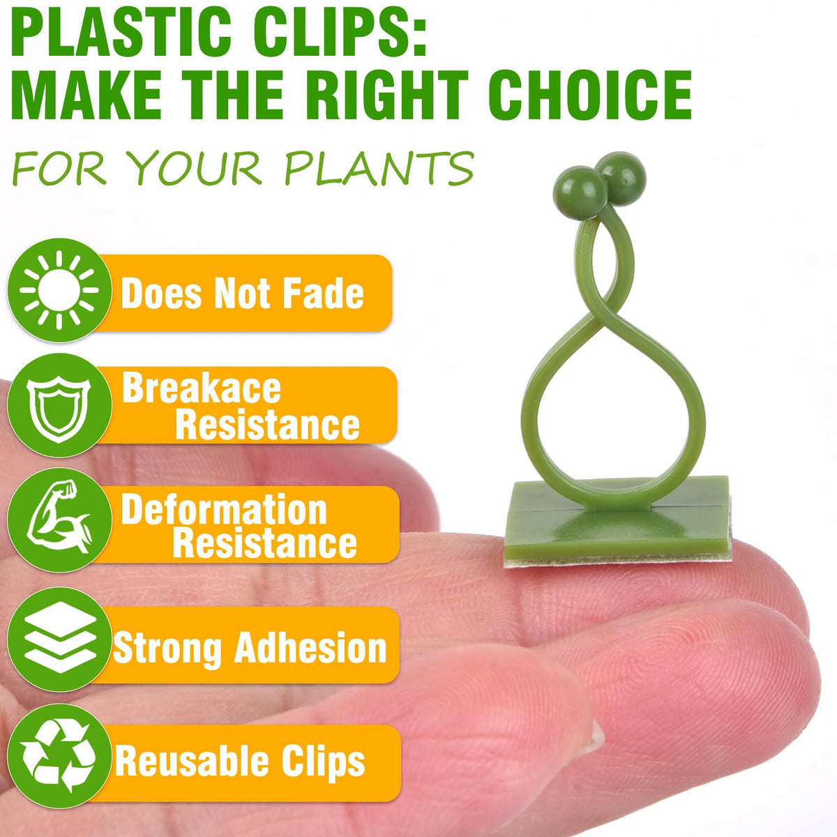 ALLWIN money-plant-clips support growth while staying discreet on interior walls.