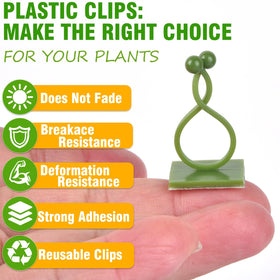 ALLWIN money-plant-clips support growth while staying discreet on interior walls.
