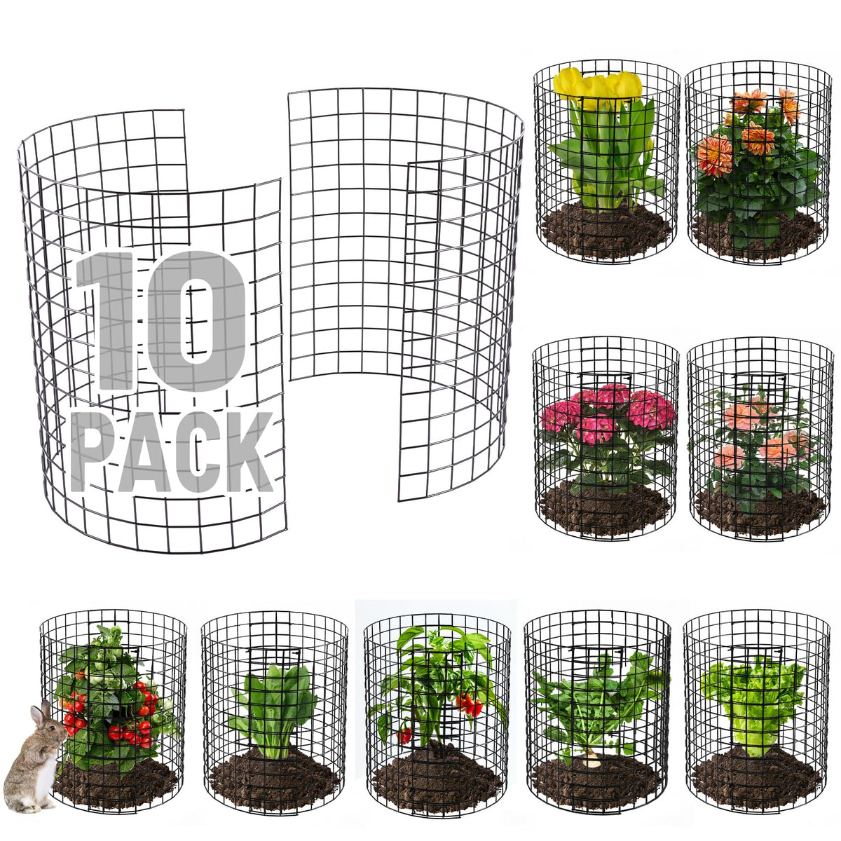 Alphatool 12-gauge plant cage with semi-circular design protects garden beds from rabbits.