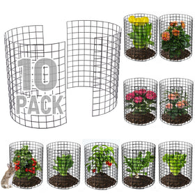 Alphatool 12-gauge plant cage with semi-circular design protects garden beds from rabbits.
