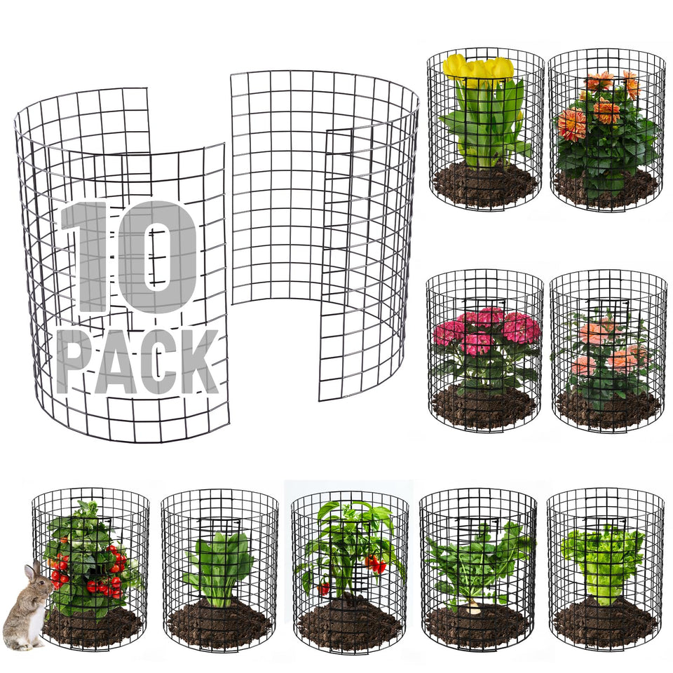 Alphatool 12-gauge plant cage with semi-circular design protects garden beds from rabbits.
