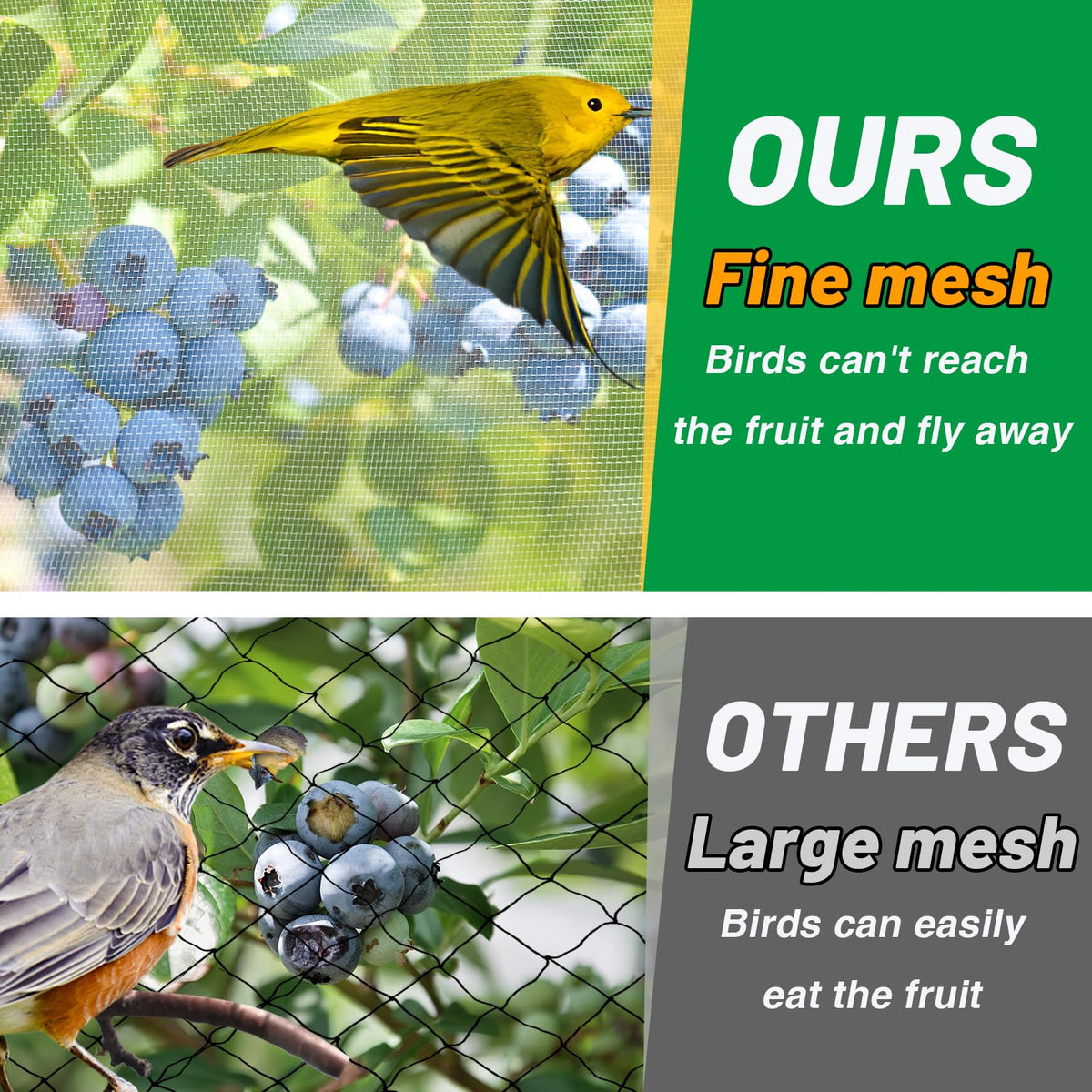 Alphatool bird barrier prevents birds reaching vegetables in raised beds.