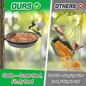 Alphatool bird bath and feeder tray, 8.3 inch diameter, for birds' hydration and feeding.