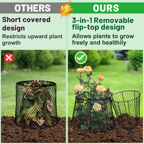 Alphatool cloche dome view demonstrates versatile enclosure for taller plants.