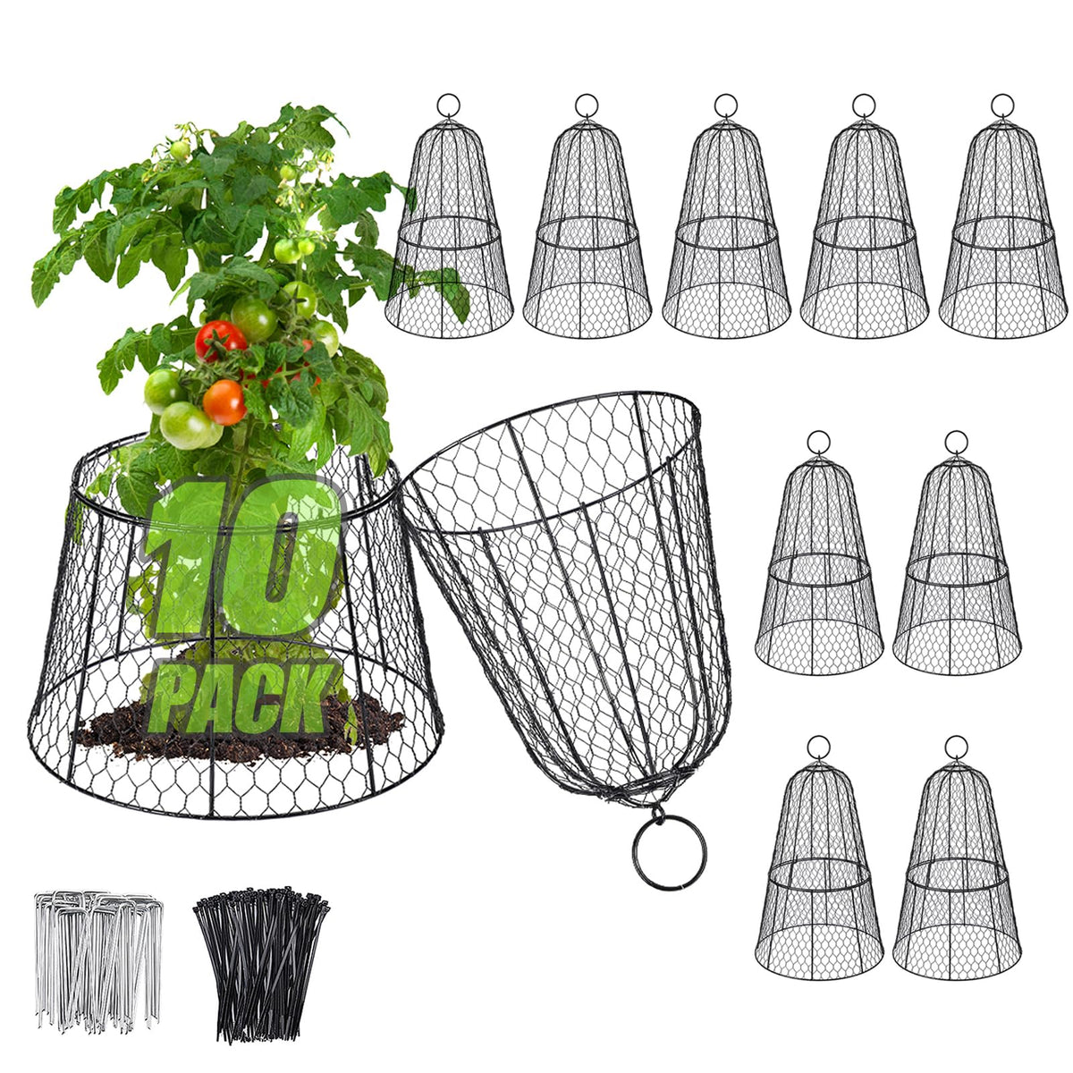 Alphatool cloche front view shields seedlings from small animals.