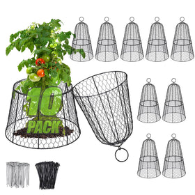 Alphatool cloche front view shields seedlings from small animals.