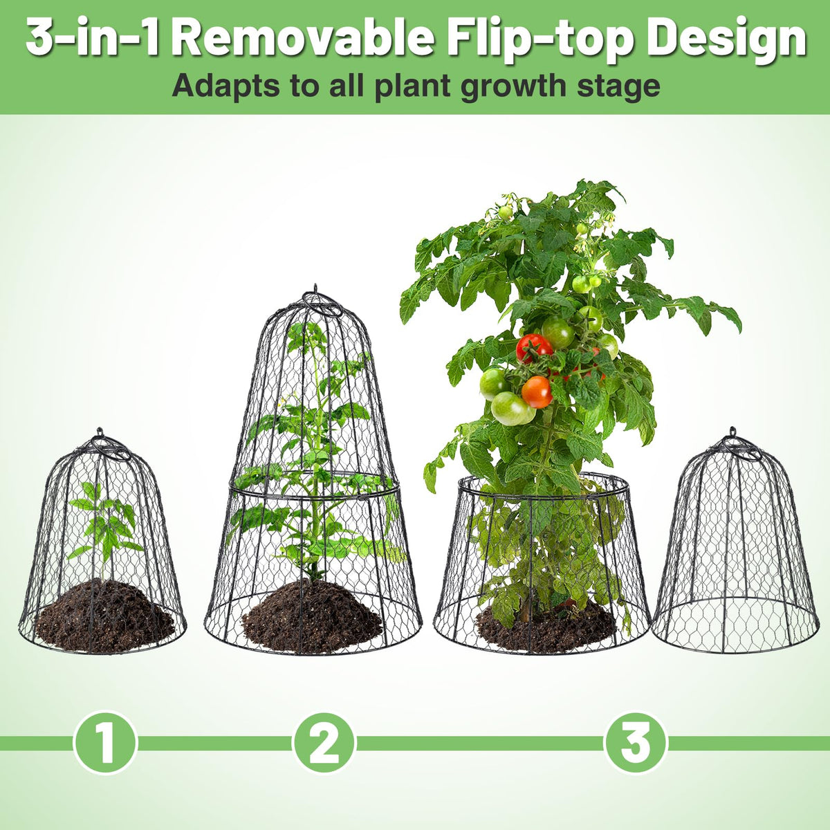 Alphatool cloche in garden use protects a mix of young plants.