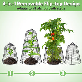 Alphatool cloche in garden use protects a mix of young plants.