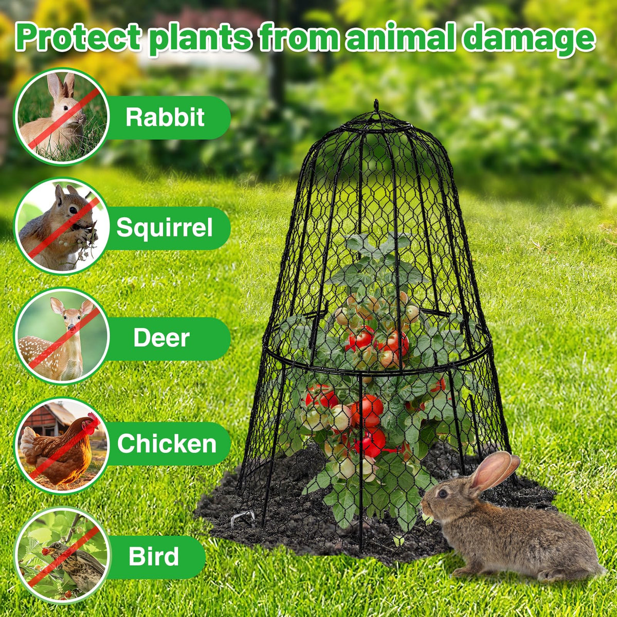 Alphatool cloche rustproof coating protects outdoor garden life.