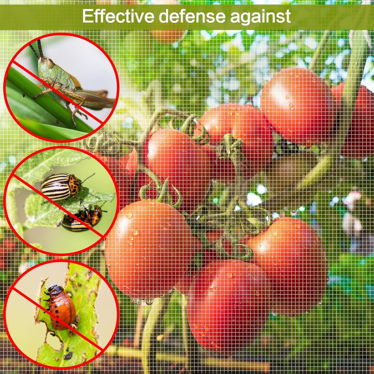 Alphatool greenhouse netting keeps crops safe while you monitor growth.