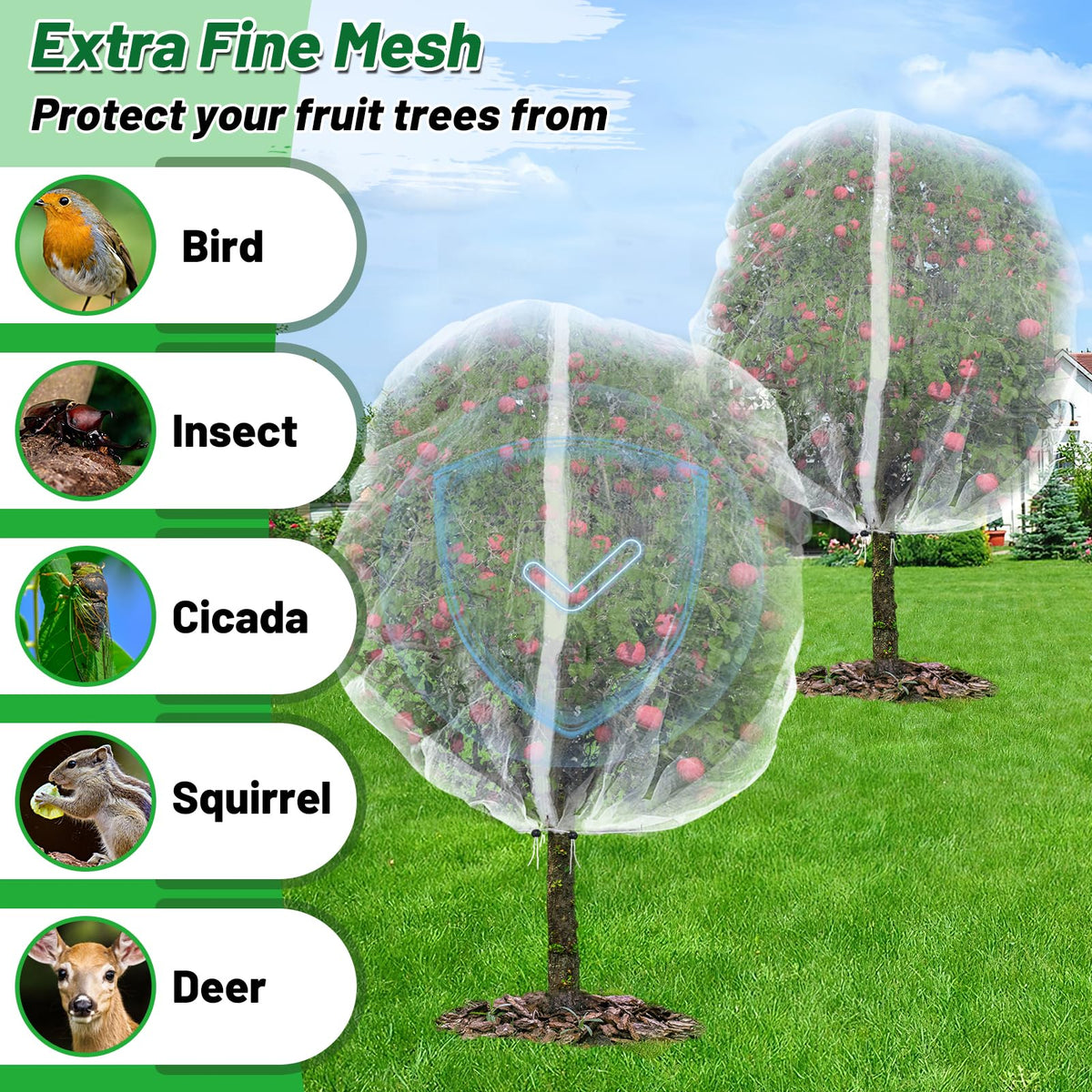 Alphatool 6.2x6.2 ft tree cover protects small pear and peach trees.