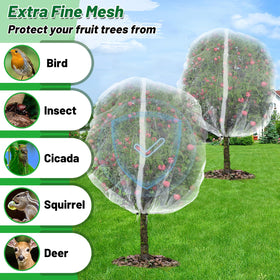 Alphatool 6.2x6.2 ft tree cover protects small pear and peach trees.