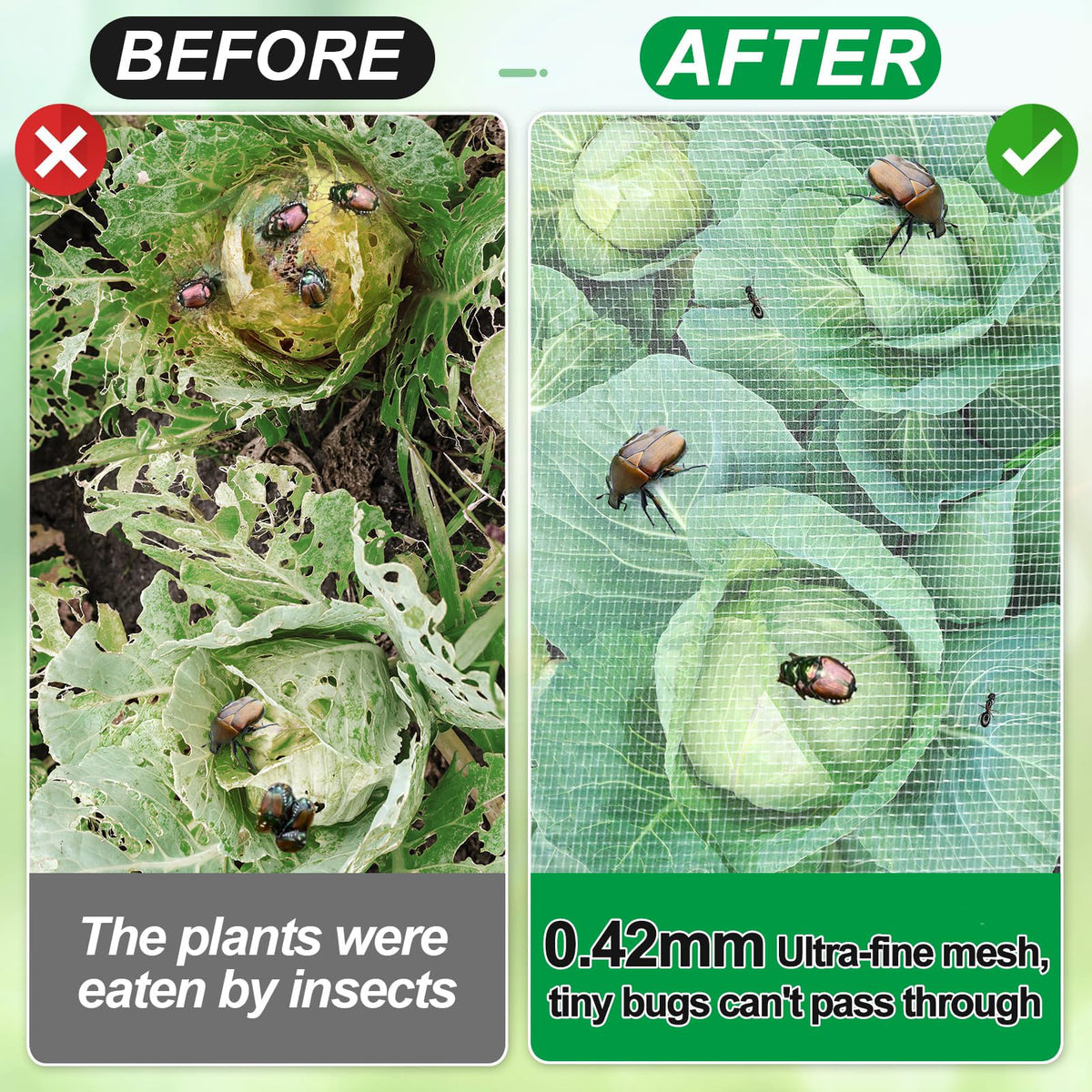 Alphatool ultra-fine mesh plant cover lets rain through for healthy growth.