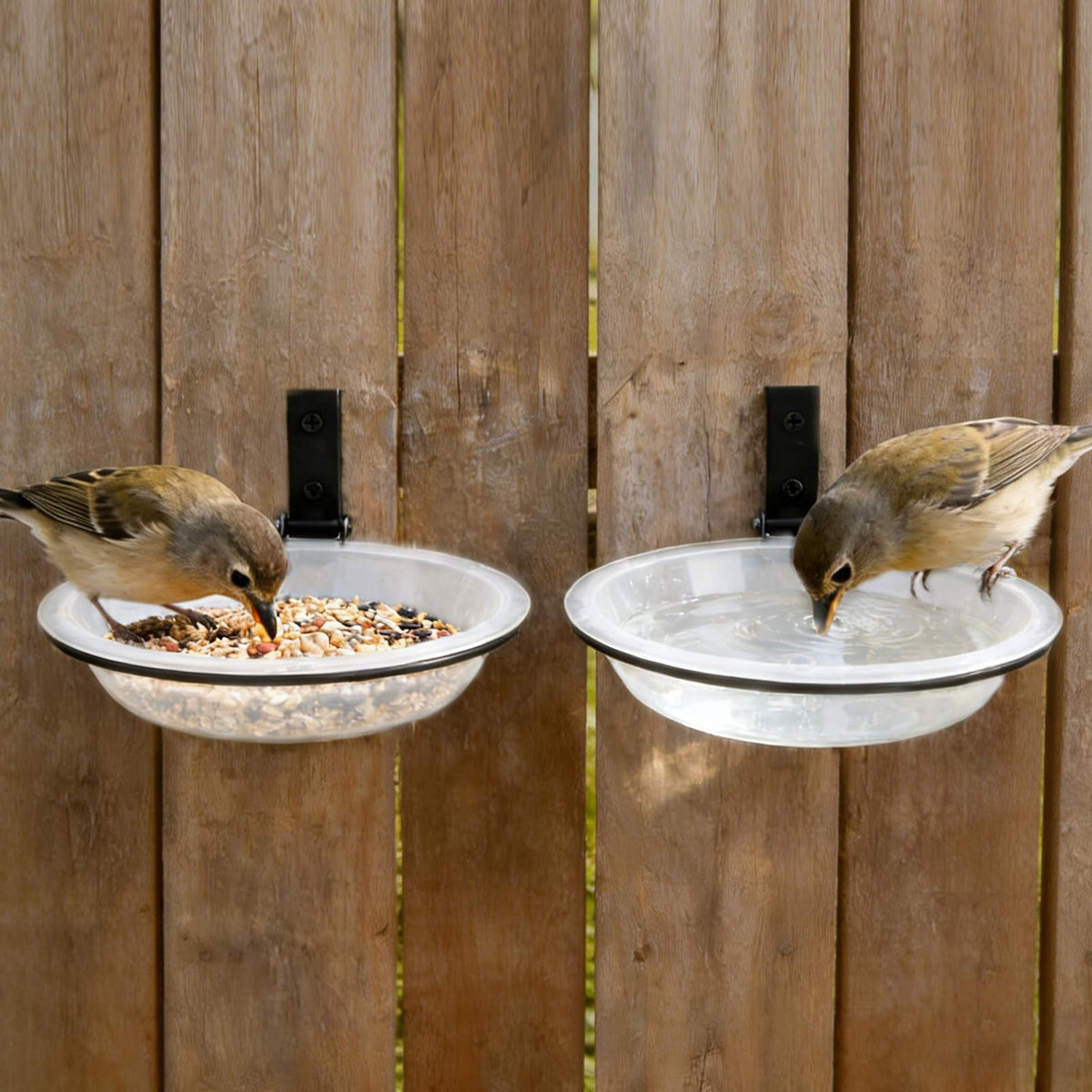 Alphatool windproof bird feeder tray setup with secure hanging ring for outdoors.