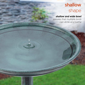Alpine birdbath base-planter-green-flowers: adds color and texture to the yard.