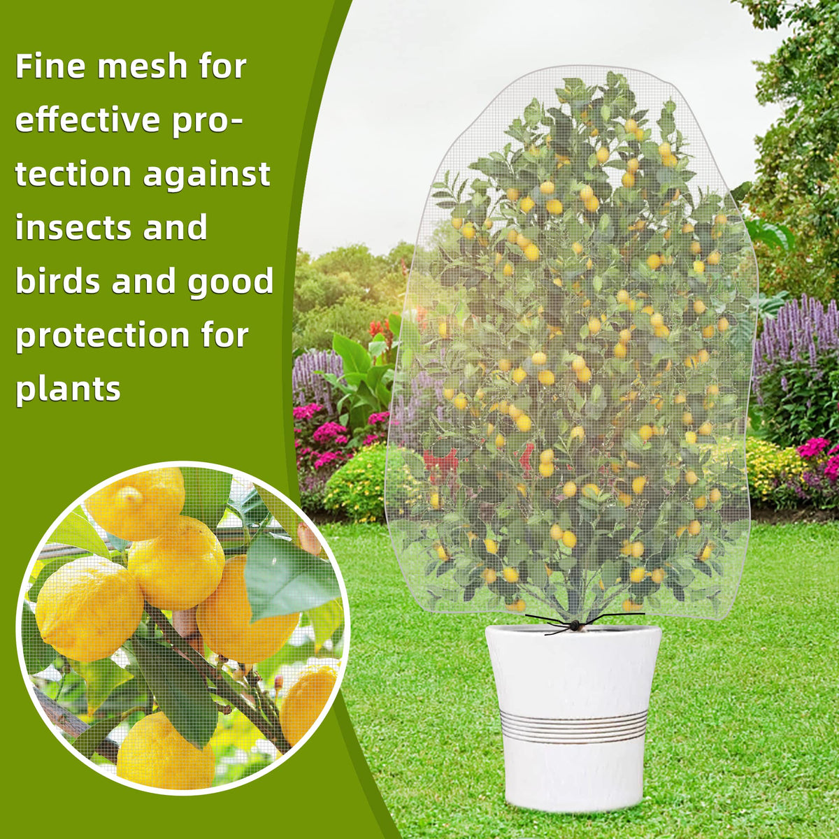 Alpurple indoor-outdoor netting offers versatile protection for vegetables and flowers.