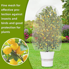 Alpurple indoor-outdoor netting offers versatile protection for vegetables and flowers.
