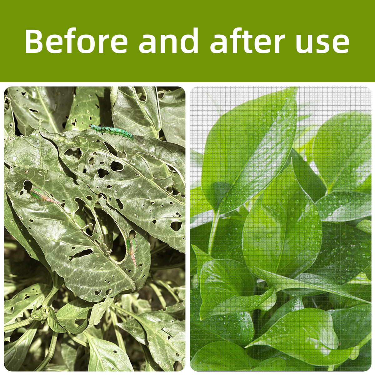 Alpurple tree-cover netting with drawstring secures easily around citrus and shrubs.