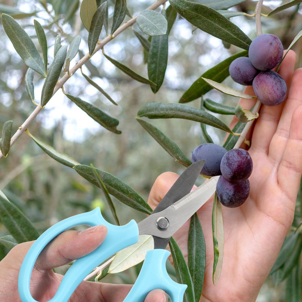 Stainless steel blades stay sharp for clean cuts on stems and foliage.