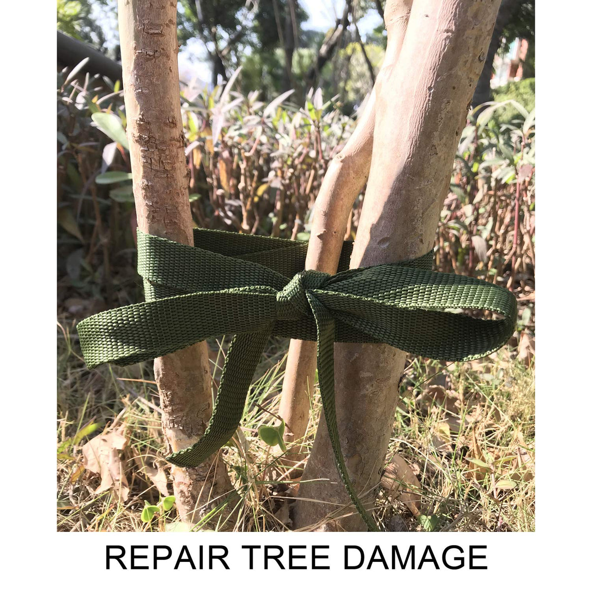 Alshurlife tree strap used for garden ties and gear securing.