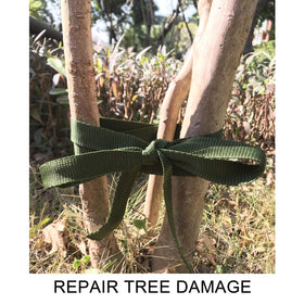 Alshurlife tree strap used for garden ties and gear securing.