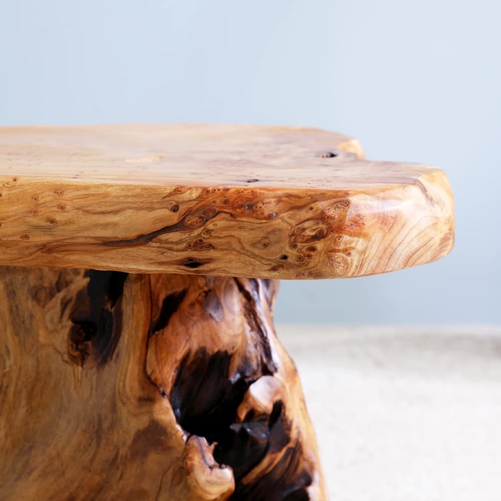 ALTERMATE cedar stump stool adds texture to living room without overpowering modern decor