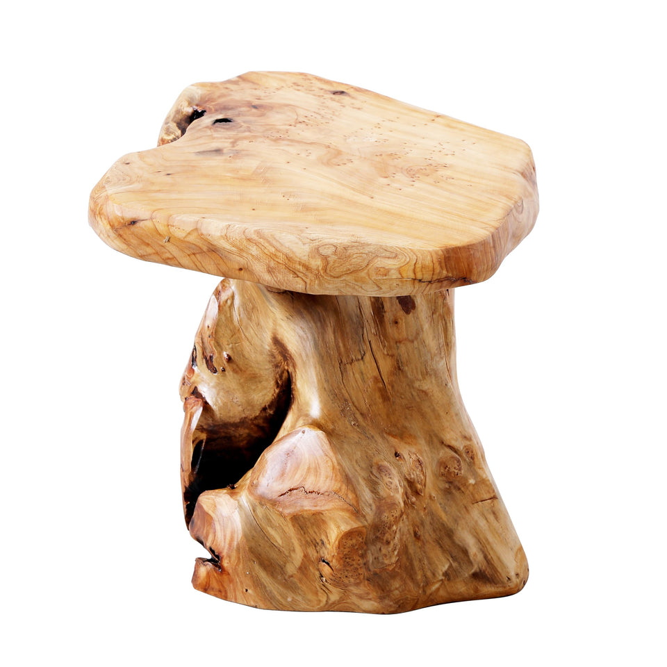 ALTERMATE cedar stump stool natural edge; rustic centerpiece with unique grain for any room