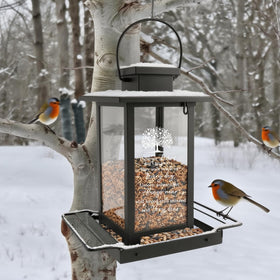 AlwaysLovarious 98 oz seed capacity keeps bird visitors fed between refills.
