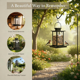 AlwaysLovarious transparent panels invite birds and quiet connection outdoors.