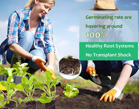 ALXMYAO sowing-tray-5-outlets enables controlled seed distribution