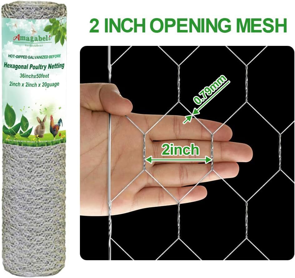 Galvanized 20-gauge mesh with 2-inch hex openings keeps rabbits and birds out.