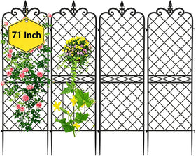 Amagabeli Garden & Home 4-pack trellis on wall provides sturdy climbing plant support.