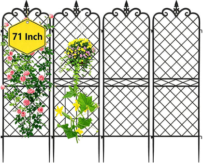 Amagabeli Garden & Home 4-pack trellis on wall provides sturdy climbing plant support.